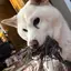 kのプロフィール画像