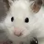 オガワのプロフィール画像