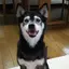 サナのプロフィール画像