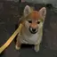 K.のプロフィール画像
