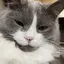 びびのプロフィール画像