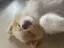 ぴょんのプロフィール画像