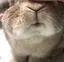 まりなのプロフィール画像
