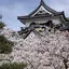 おかばんごのプロフィール画像