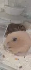 優花のプロフィール画像