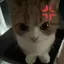 愛望のプロフィール画像