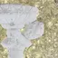 𝐚𝐤𝐚𝐫𝐢𐂂のプロフィール画像