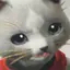 もてのプロフィール画像