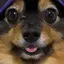 ともひろこのプロフィール画像
