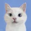 おとちゃのプロフィール画像