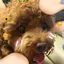 まーしーのプロフィール画像