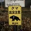 杜のくまのプロフィール画像