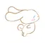 りさのプロフィール画像