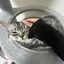 心のプロフィール画像
