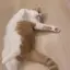 sonoのプロフィール画像