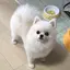 むんのプロフィール画像