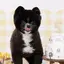 mのプロフィール画像