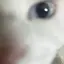 みさのプロフィール画像
