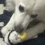 るいごんのプロフィール画像