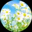 ymyss.mのプロフィール画像