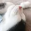 真実のプロフィール画像