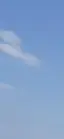もものプロフィール画像