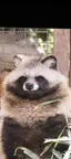 明美のプロフィール画像