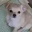 ミヨンのプロフィール画像