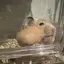 タカハシのプロフィール画像