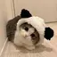ゆめののプロフィール画像