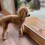 kumiのプロフィール画像