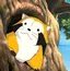 ひかりのプロフィール画像