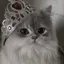 じゅのプロフィール画像