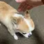 タラのプロフィール画像