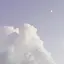 umiのプロフィール画像