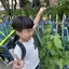 ユリレオのプロフィール画像