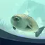 ぽん。のプロフィール画像
