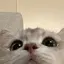 りりのプロフィール画像