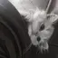 ♡のプロフィール画像