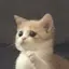 RISAKOのプロフィール画像