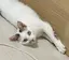 suguのプロフィール画像