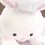 🌷♩のプロフィール画像