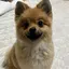 ａｉｍｉのプロフィール画像