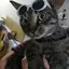 かぶみのプロフィール画像