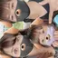 arei610のプロフィール画像