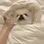 yuuのプロフィール画像