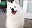 kikoのプロフィール画像