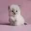 ミオのプロフィール画像