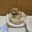 teruのプロフィール画像