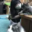 みかのプロフィール画像